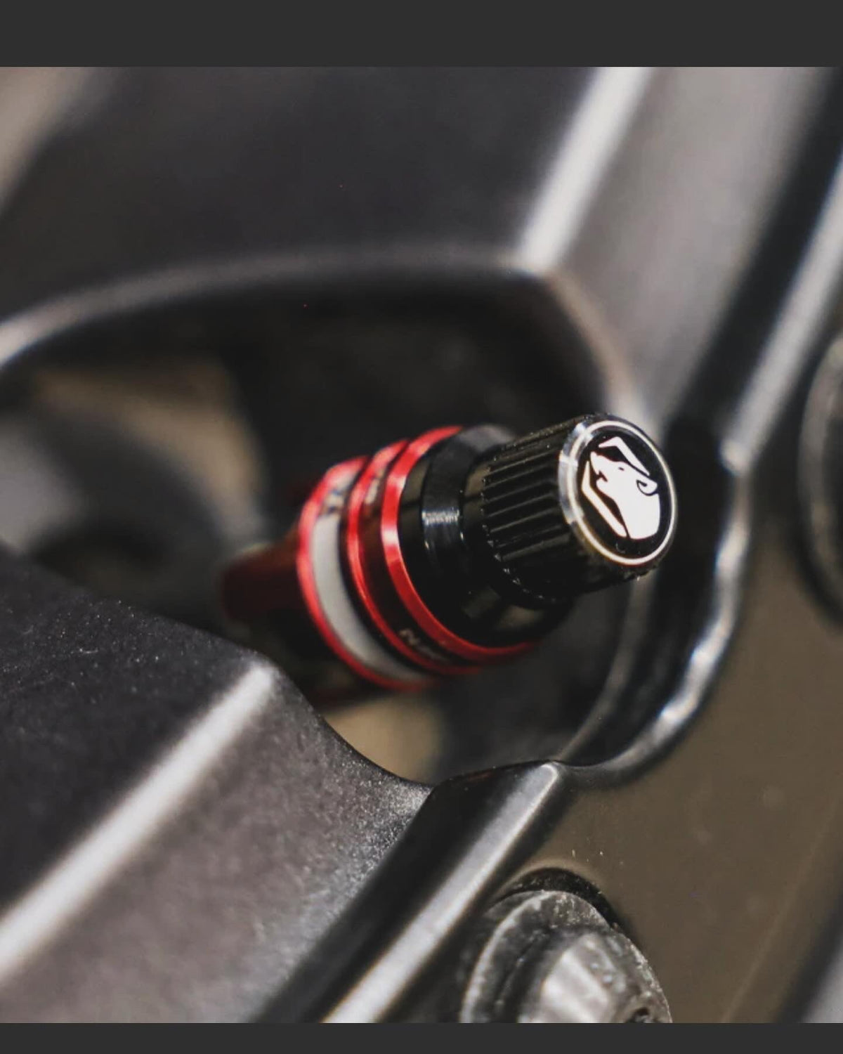 Rapid Connect Valves (RCV)