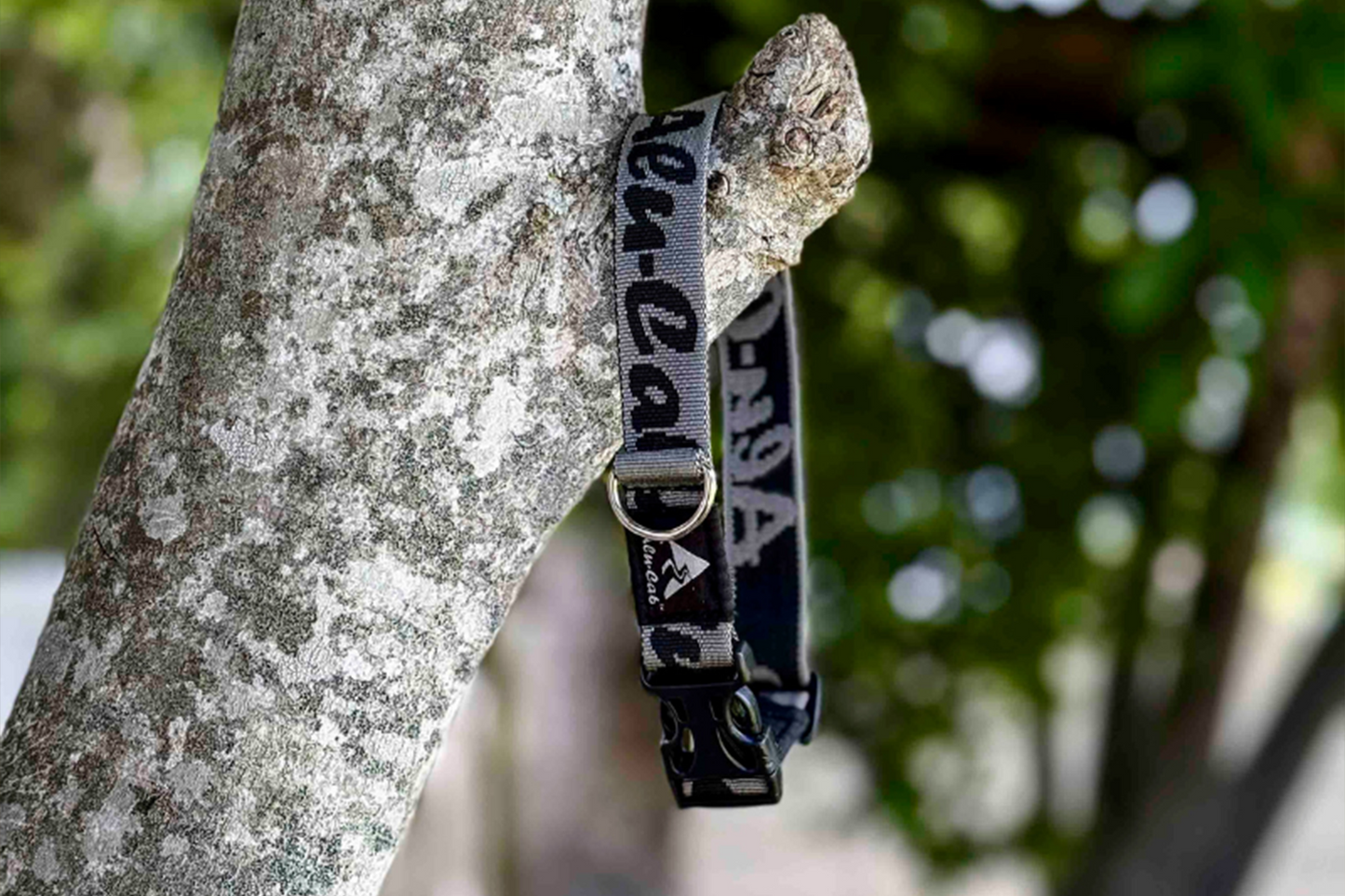 alu-cab Trail Buddy Dog Collar