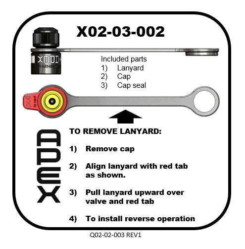 RPV Replacement Cap and Lanyard