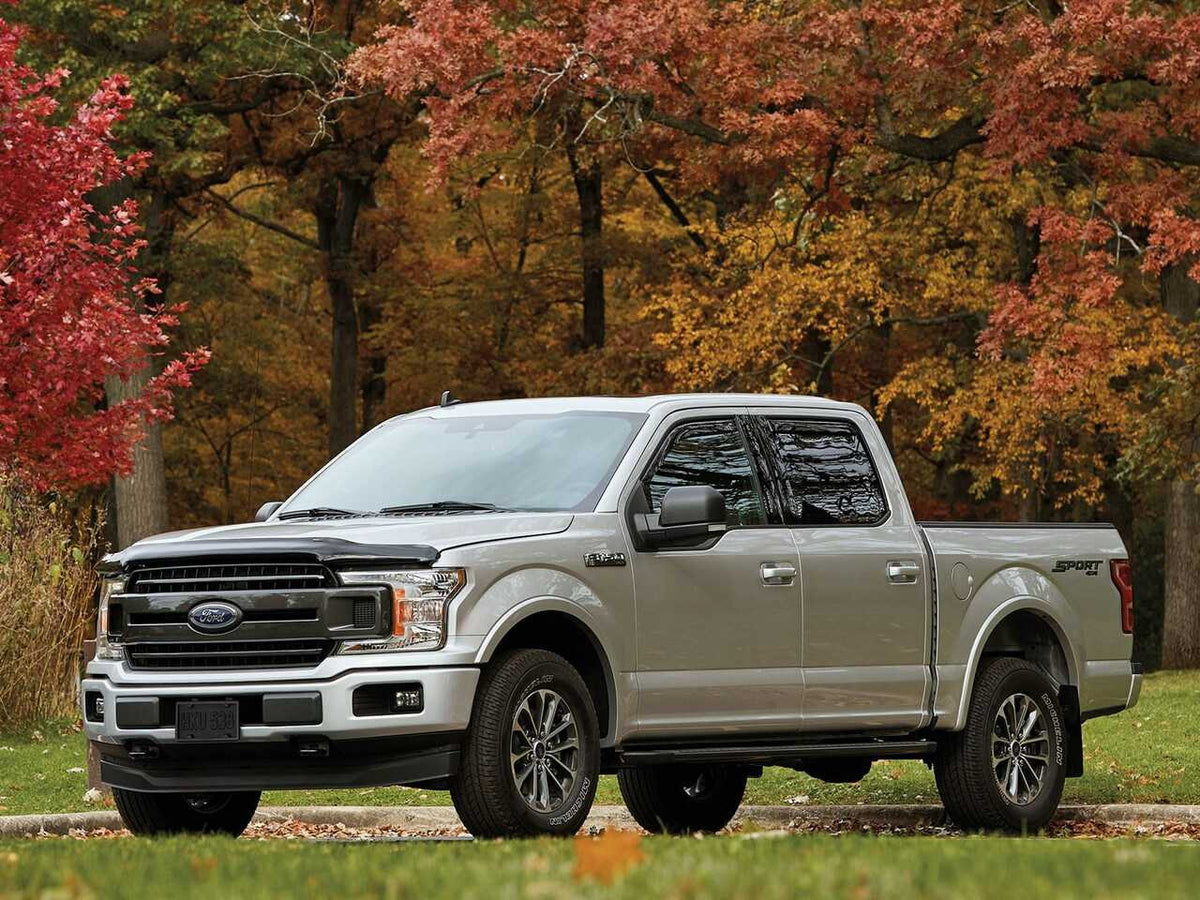 WeatherTech Stone & Bug Deflector | Ford F-150 Super Crew (2015-2020)