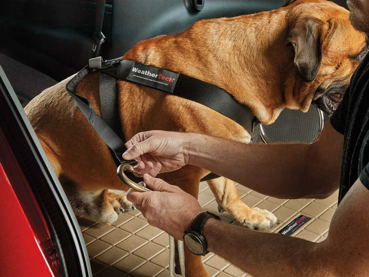 WeatherTech Pet Safety Harness | Adjustable Pet Dog Car Seat Belt Leash Travel Lead