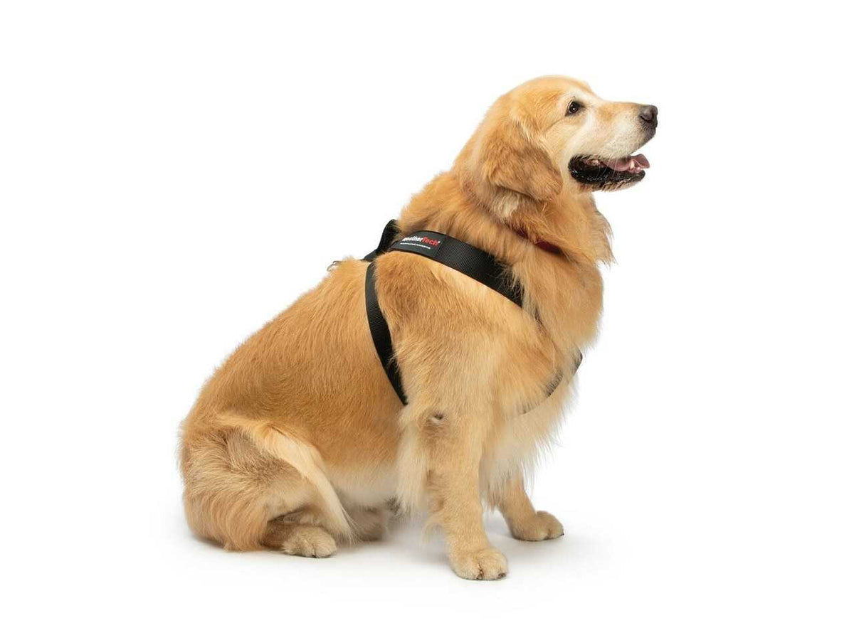 WeatherTech Pet Safety Harness | Adjustable Pet Dog Car Seat Belt Leash Travel Lead