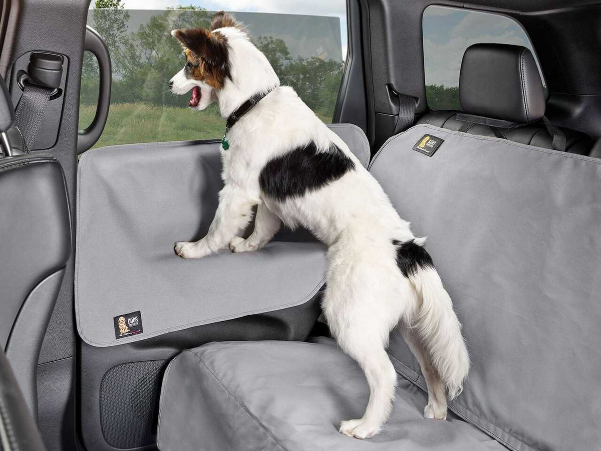 WeatherTech Door Protector | 22" x 18" - Charcoal (Pair)