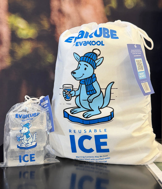 EvaKool EvaKube Reusable Ice Cubes (6 Cubes)