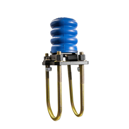 SuperSprings International Rear SumoSprings - 630kg - Light Blue
